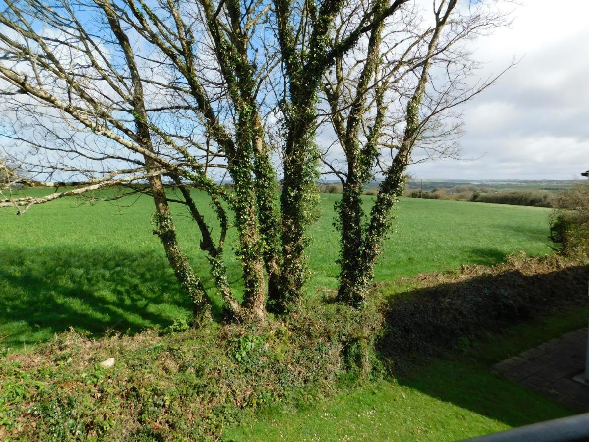 Primrose Cottage, Spacious 4 Bed House Near Newquay New Quay エクステリア 写真